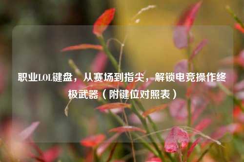 职业LOL键盘,从赛场到指尖,解锁电竞操作终极武器(附键位对照表)
