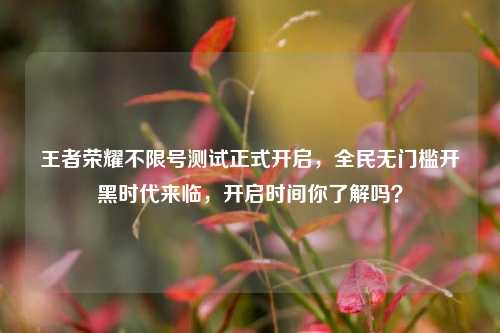 王者荣耀不限号测试正式开启,全民无门槛开黑时代来临,开启时间你了解吗?