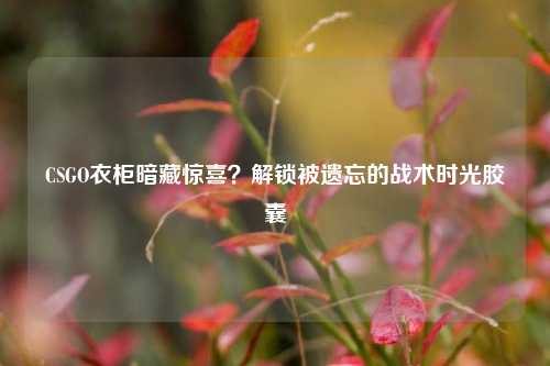 CSGO衣柜暗藏惊喜?解锁被遗忘的战术时光胶囊