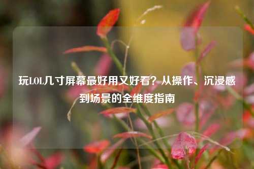 玩LOL几寸屏幕最好用又好看?从操作、沉浸感到场景的全维度指南