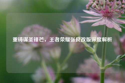 重铸谋圣锋芒，王者荣耀张良改版深度解析