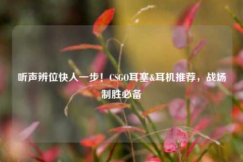 听声辨位快人一步!CSGO耳塞&耳机推荐,战场制胜必备
