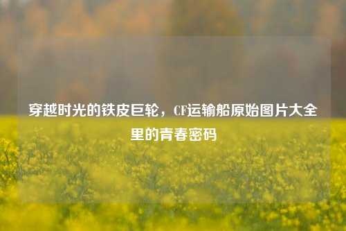 穿越时光的铁皮巨轮,CF运输船原始图片大全里的青春密码