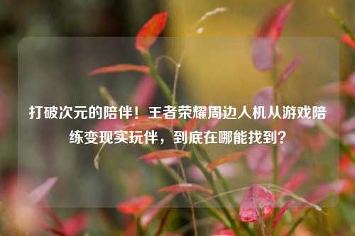 打破次元的陪伴!王者荣耀周边人机从游戏陪练变现实玩伴,到底在哪能找到?