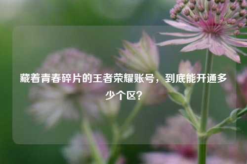藏着青春碎片的王者荣耀账号，到底能开通多少个区？