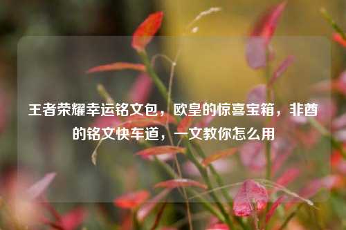 王者荣耀幸运铭文包,欧皇的惊喜宝箱,非酋的铭文快车道,一文教你怎么用