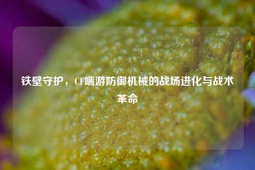 铁壁守护,CF端游防御机械的战场进化与战术革命