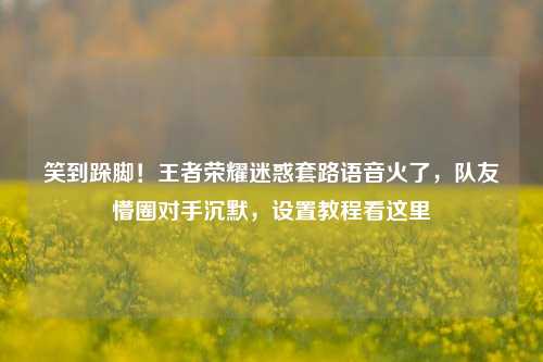 笑到跺脚！王者荣耀迷惑套路语音火了，队友懵圈对手沉默，设置教程看这里