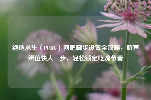 绝地求生（PUBG）网吧脚步设置全攻略，听声辨位快人一步，轻松锁定吃鸡节奏