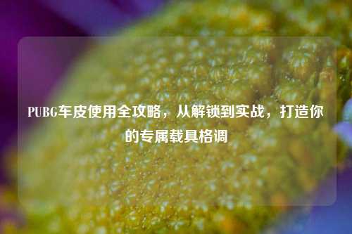 PUBG车皮使用全攻略，从解锁到实战，打造你的专属载具格调