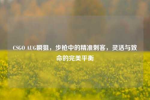 CSGO AUG瞬狙，步枪中的精准刺客，灵活与致命的完美平衡