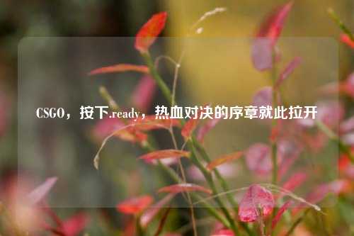 CSGO，按下.ready，热血对决的序章就此拉开
