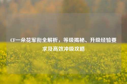 CF一朵花军衔全解析,等级揭秘、升级经验要求及高效冲级攻略