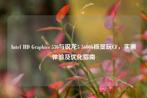Intel HD Graphics 530与锐龙5 5600X核显玩CF,实测体验及优化指南