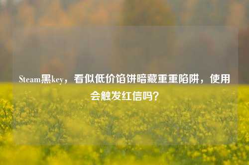 Steam黑key,看似低价馅饼暗藏重重陷阱,使用会触发红信吗?