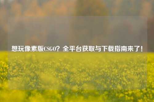 想玩像素版CSGO？全平台获取与下载指南来了！