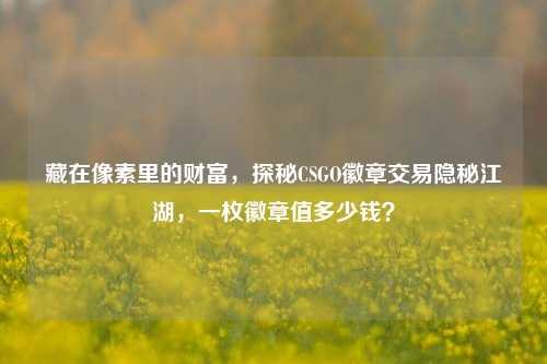 藏在像素里的财富,探秘CSGO徽章交易隐秘江湖,一枚徽章值多少钱?