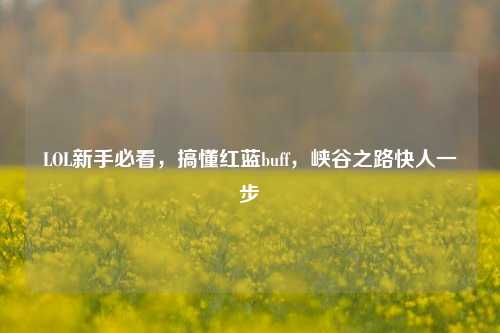 LOL新手必看,搞懂红蓝buff,峡谷之路快人一步