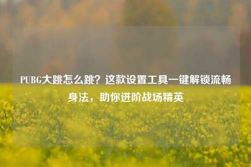 PUBG大跳怎么跳？这款设置工具一键解锁流畅身法，助你进阶战场精英