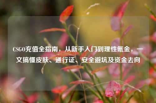 CSGO充值全指南，从新手入门到理性氪金，一文搞懂皮肤、通行证、安全避坑及资金去向