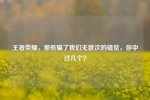 王者荣耀，那些骗了我们无数次的错觉，你中过几个？