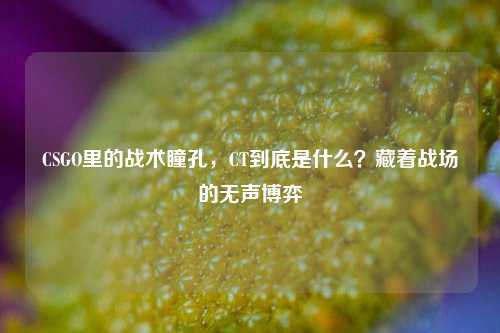 CSGO里的战术瞳孔，CT到底是什么？藏着战场的无声博弈