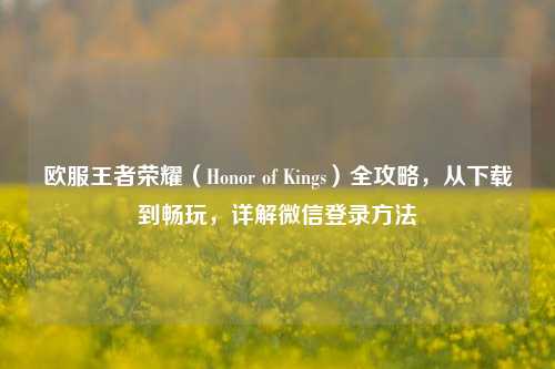 欧服王者荣耀(Honor of Kings)全攻略,从下载到畅玩,详解微信登录方法