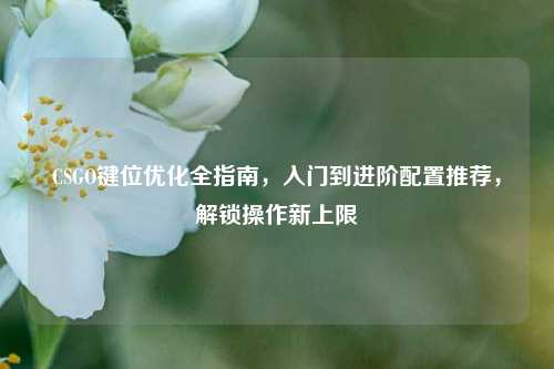 CSGO键位优化全指南,入门到进阶配置推荐,解锁操作新上限