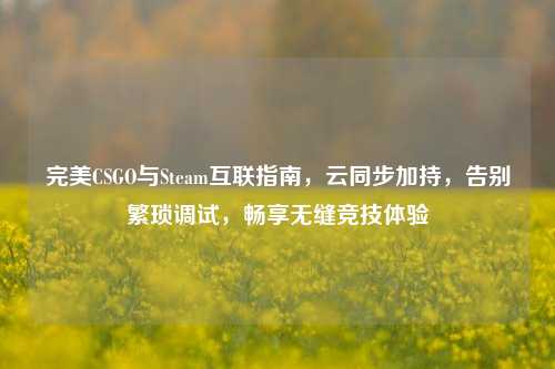 完美CSGO与Steam互联指南,云同步加持,告别繁琐调试,畅享无缝竞技体验