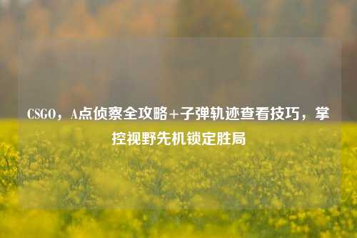 CSGO,A点侦察全攻略+子弹轨迹查看技巧,掌控视野先机锁定胜局