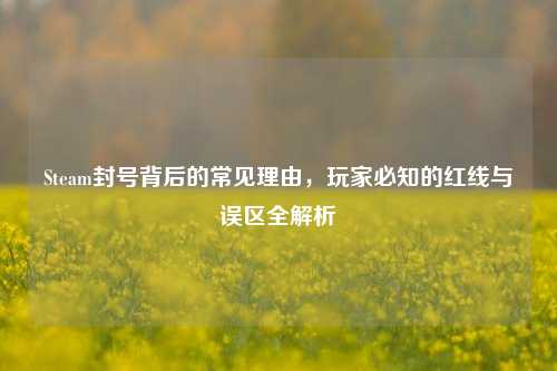 Steam封号背后的常见理由,玩家必知的红线与误区全解析