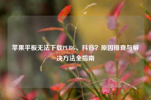 苹果平板无法下载PUBG、抖音?原因排查与解决方法全指南
