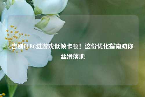 告别PUBG进游戏低帧卡顿！这份优化指南助你丝滑落地