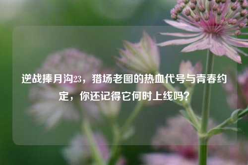 逆战捧月沟23,猎场老图的热血代号与青春约定,你还记得它何时上线吗?