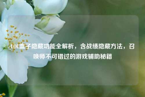 LOL盒子隐藏功能全解析,含战绩隐藏方法,召唤师不可错过的游戏辅助秘籍
