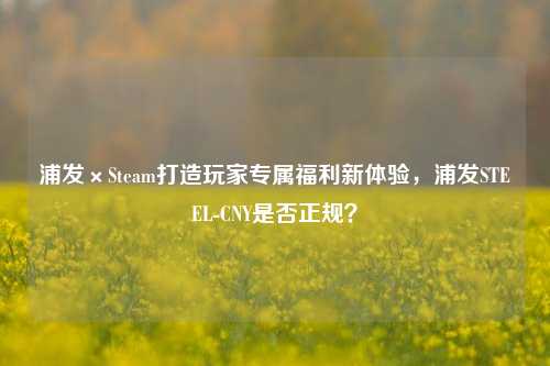 浦发×Steam打造玩家专属福利新体验，浦发STEEL-CNY是否正规？