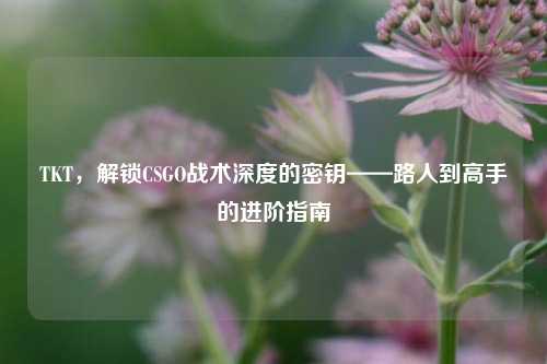 TKT,解锁CSGO战术深度的密钥——路人到高手的进阶指南
