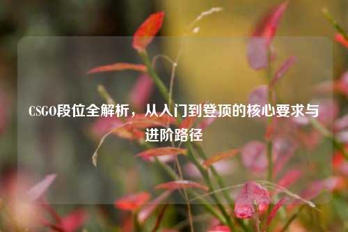 CSGO段位全解析,从入门到登顶的核心要求与进阶路径