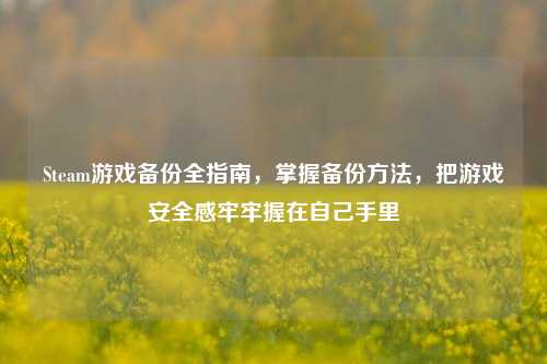 Steam游戏备份全指南，掌握备份方法，把游戏安全感牢牢握在自己手里