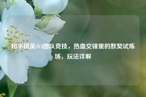 和平精英4V4团队竞技，热血交锋里的默契试炼场，玩法详解
