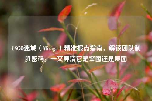 CSGO迷城（Mirage）精准报点指南，解锁团队制胜密码，一文弄清它是警图还是匪图