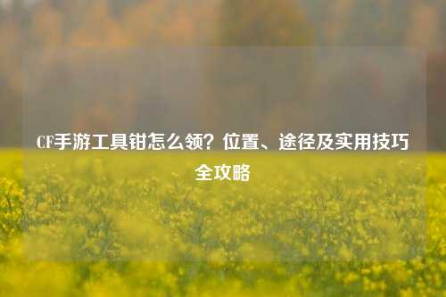 CF手游工具钳怎么领？位置、途径及实用技巧全攻略