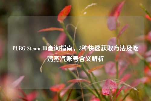 PUBG Steam ID查询指南，3种快速获取方法及吃鸡蒸汽账号含义解析