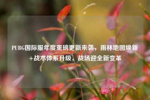 PUBG国际服年度重磅更新来袭，雨林地图焕新+战术体系升级，战场迎全新变革