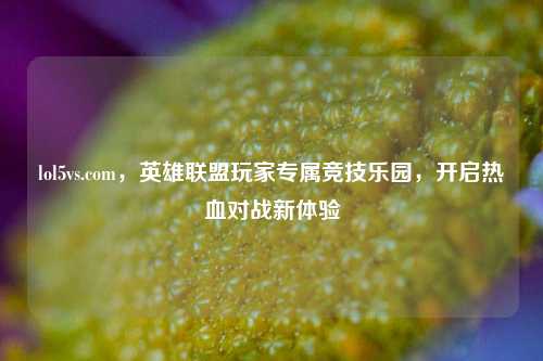 lol5vs.com，英雄联盟玩家专属竞技乐园，开启热血对战新体验