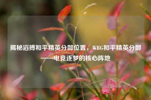 揭秘滔搏和平精英分部位置，WBG和平精英分部——电竞逐梦的核心阵地