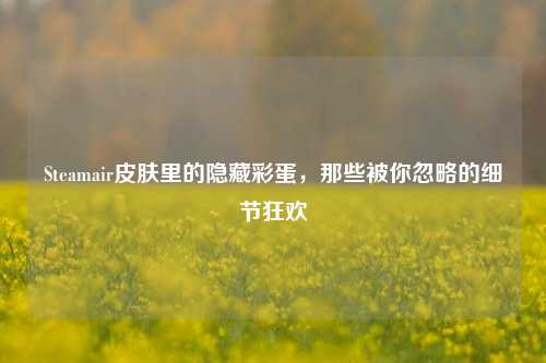 Steamair皮肤里的隐藏彩蛋,那些被你忽略的细节狂欢