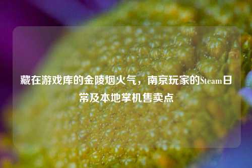 藏在游戏库的金陵烟火气,南京玩家的Steam日常及本地掌机售卖点