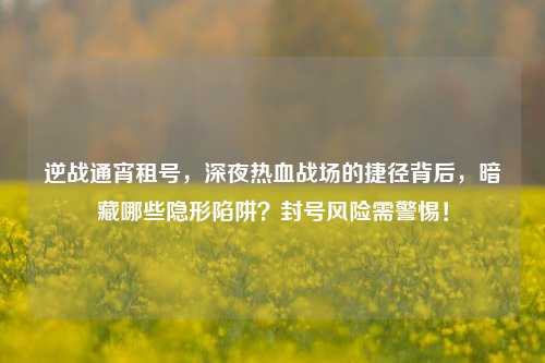 逆战通宵租号，深夜热血战场的捷径背后，暗藏哪些隐形陷阱？封号风险需警惕！