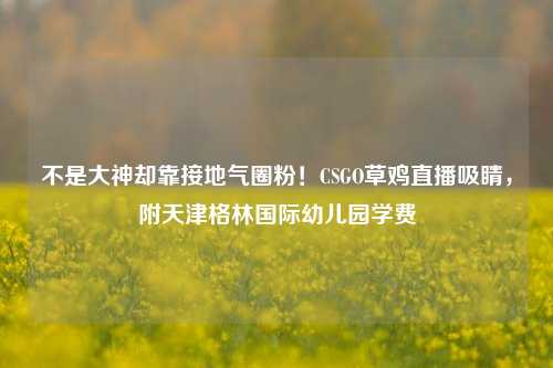 不是大神却靠接地气圈粉!CSGO草鸡直播吸睛,附天津格林国际幼儿园学费